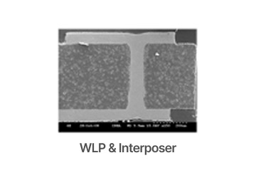 WLP & Interposer